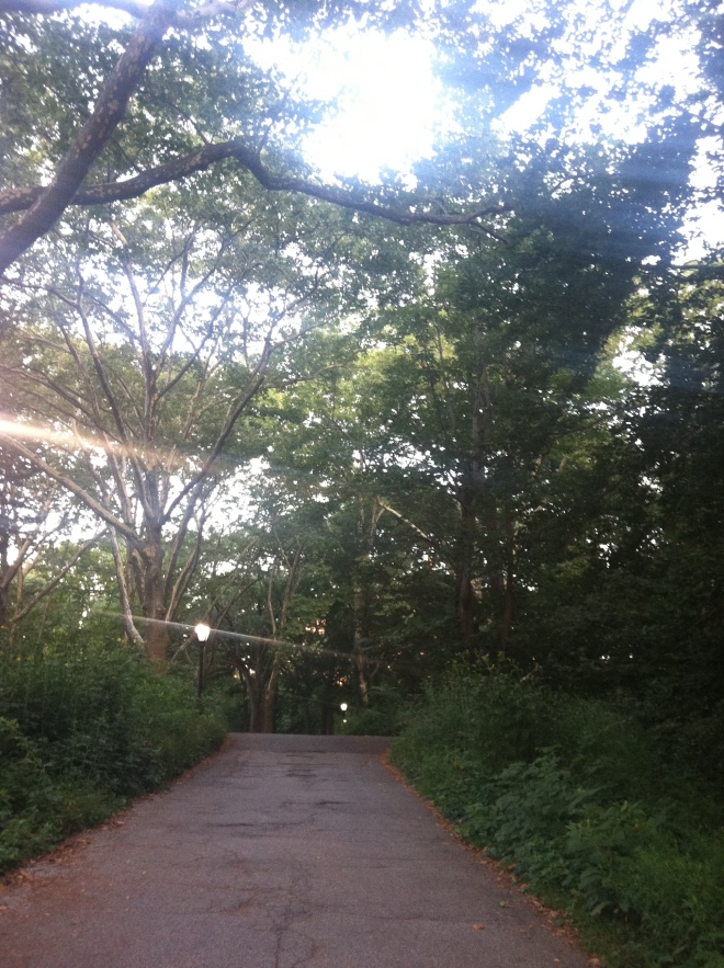 ^^I took this hazy Central Park path photo around 5:50 a.m. as I was entering the park. It reflects my mood nicely. Hazy.