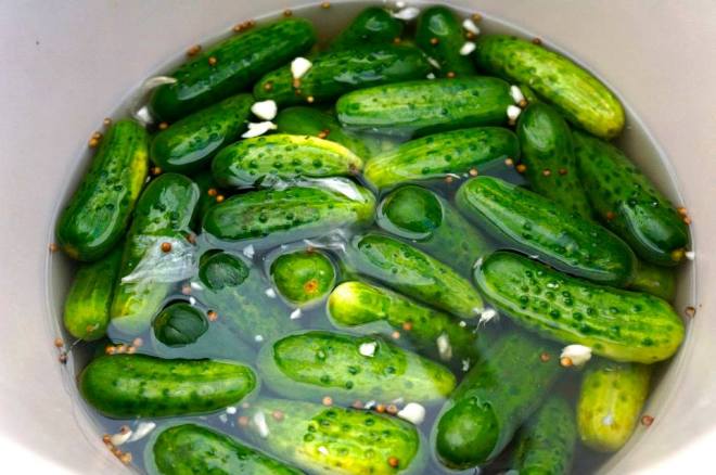 delicious_pickles